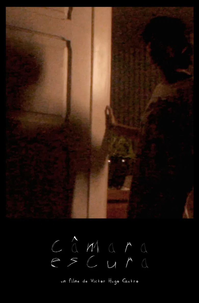 In a Dark Chamber poster background