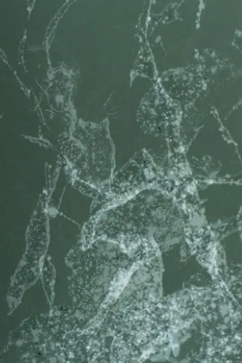 early summer, dust in the wind poster background