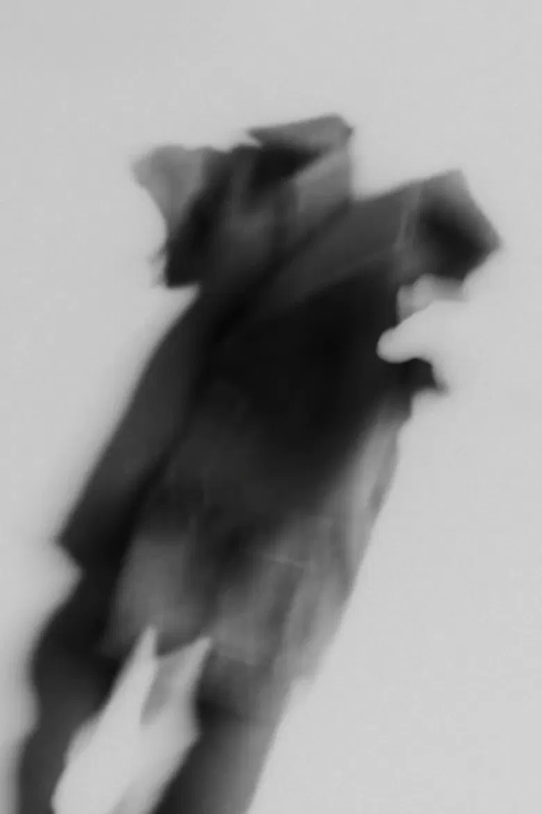 Frankenstein Conquers the World Two poster background