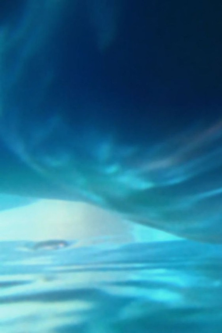 How Much Air Lungs Can Hold poster background