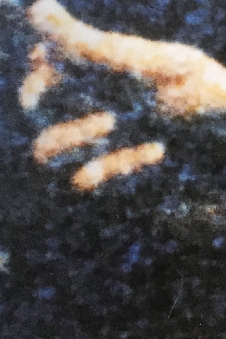 Angledozer poster background