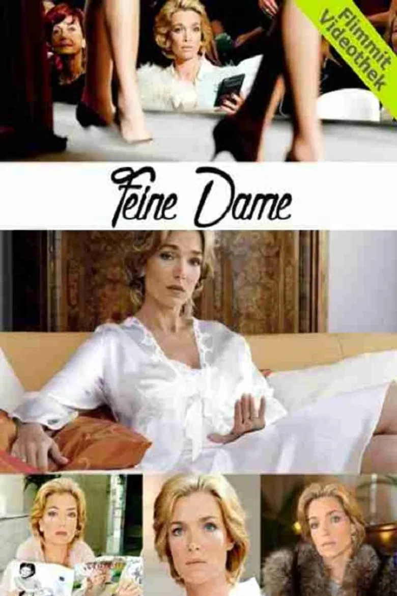 Feine Dame poster background