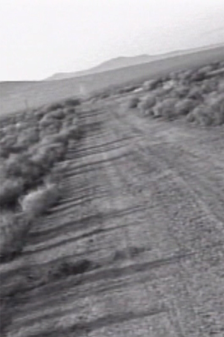 Facts on the Polywave poster background