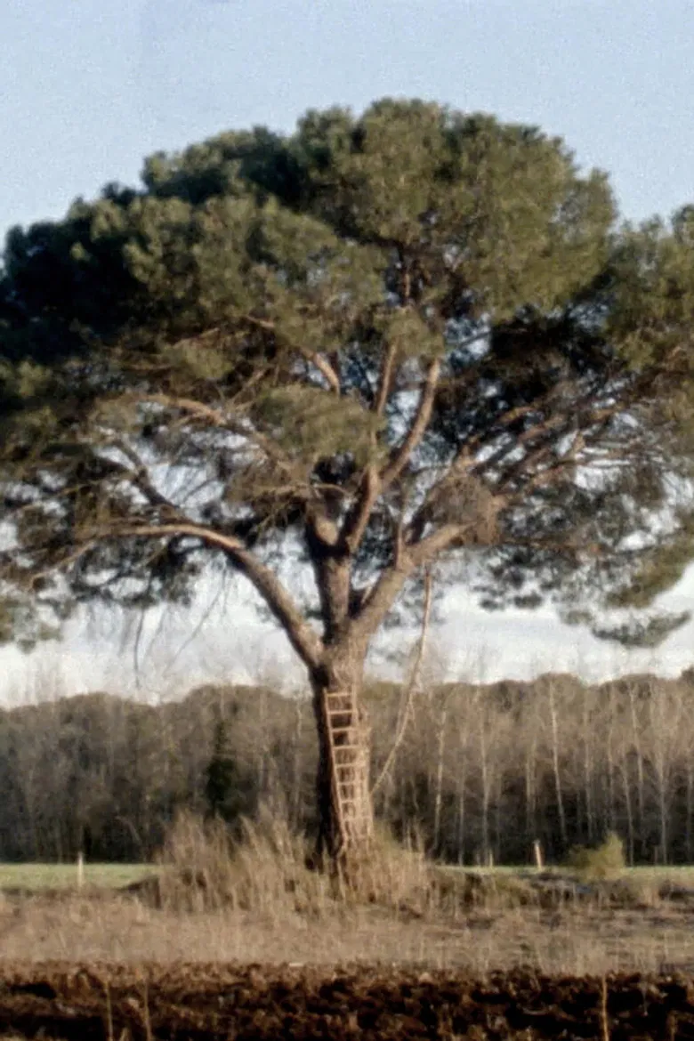 La Ermita poster background