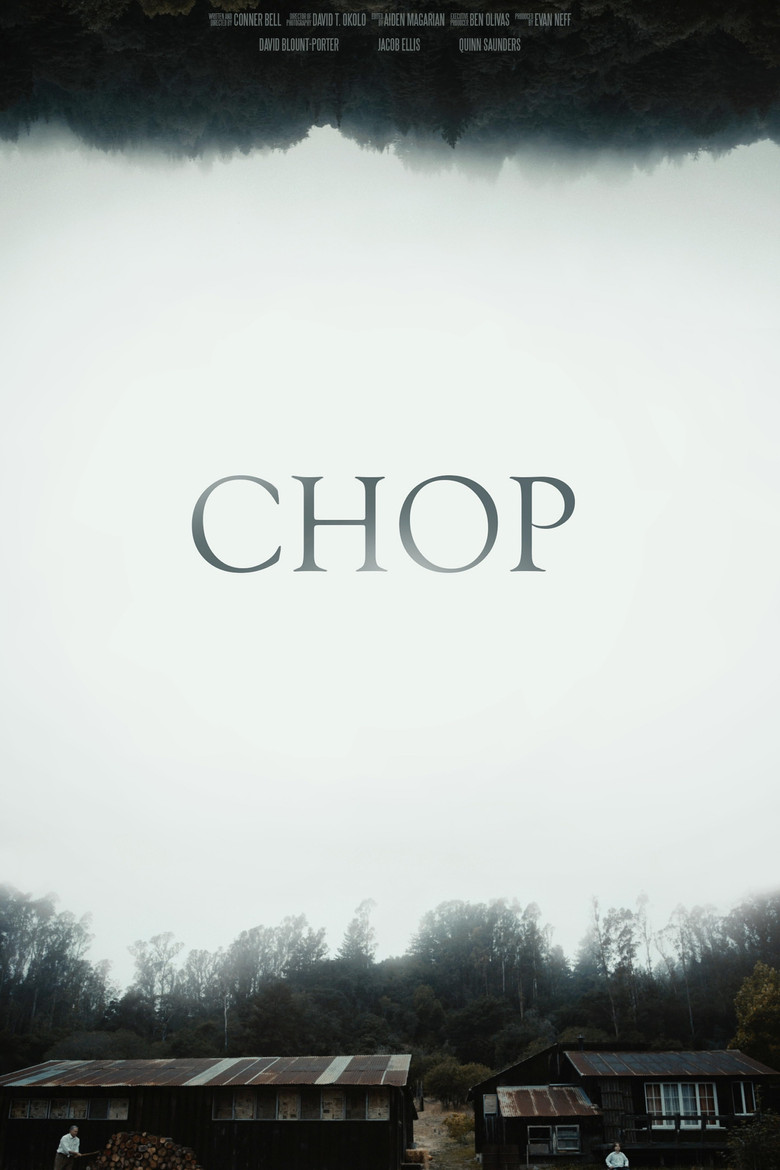 Chop poster background