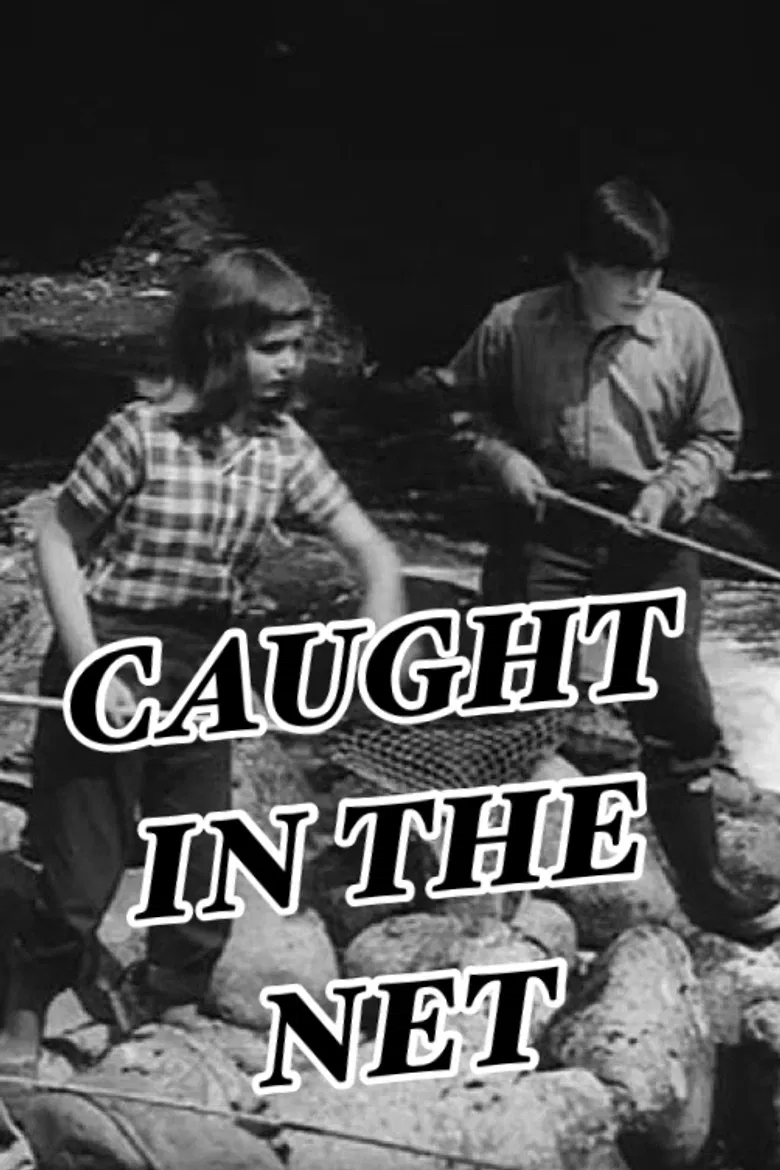 Caught in the Net poster background