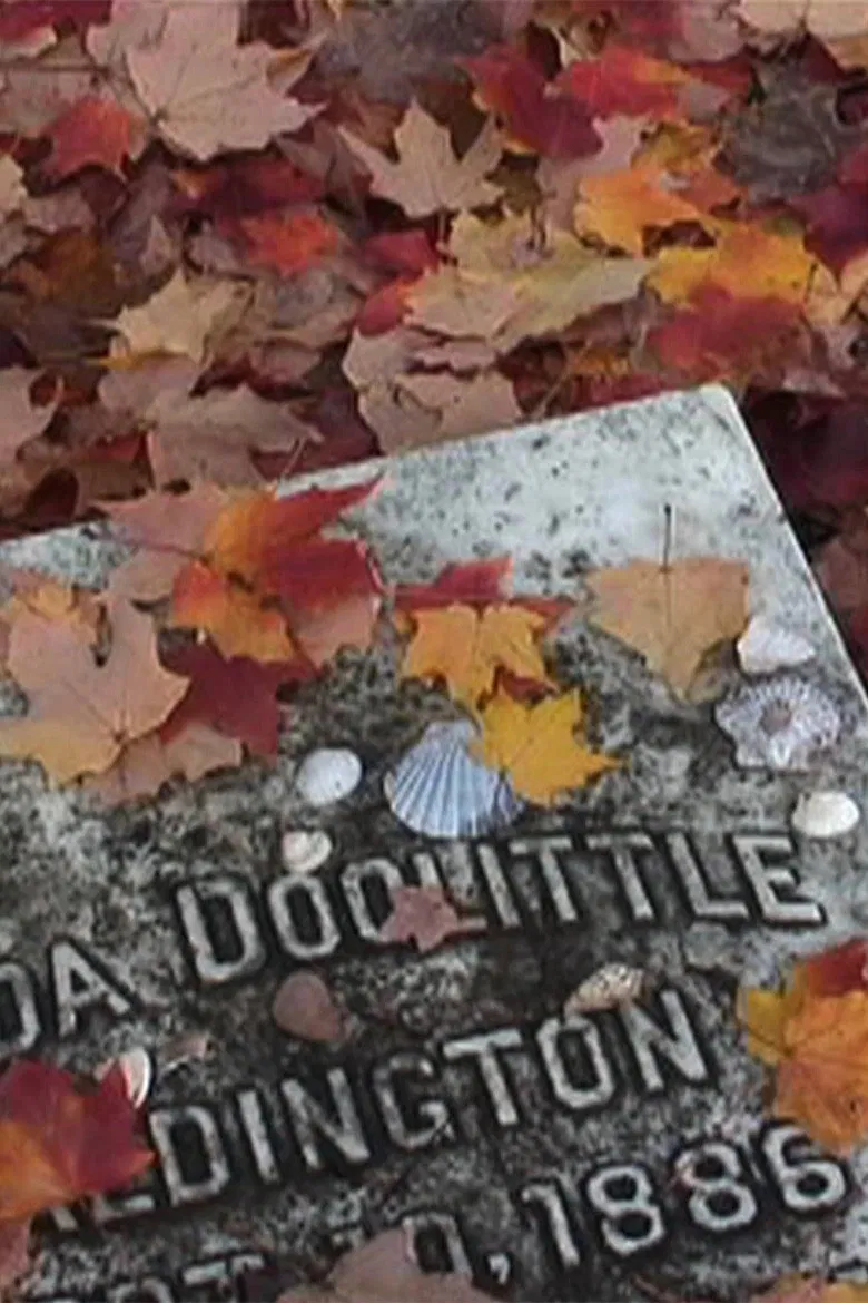 H.D. poster background