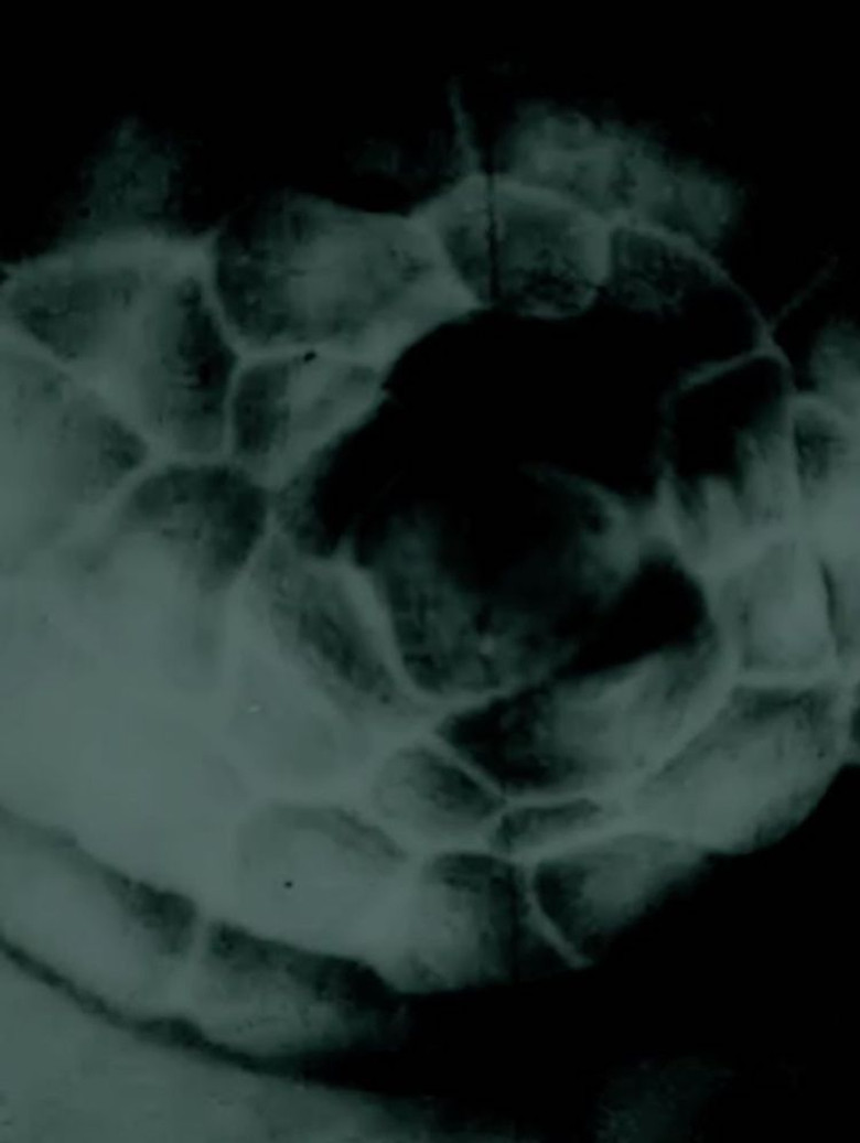 occhiolino poster background