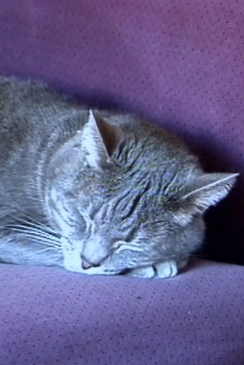 Nine Lives (The Eternal Moment of Now) poster background