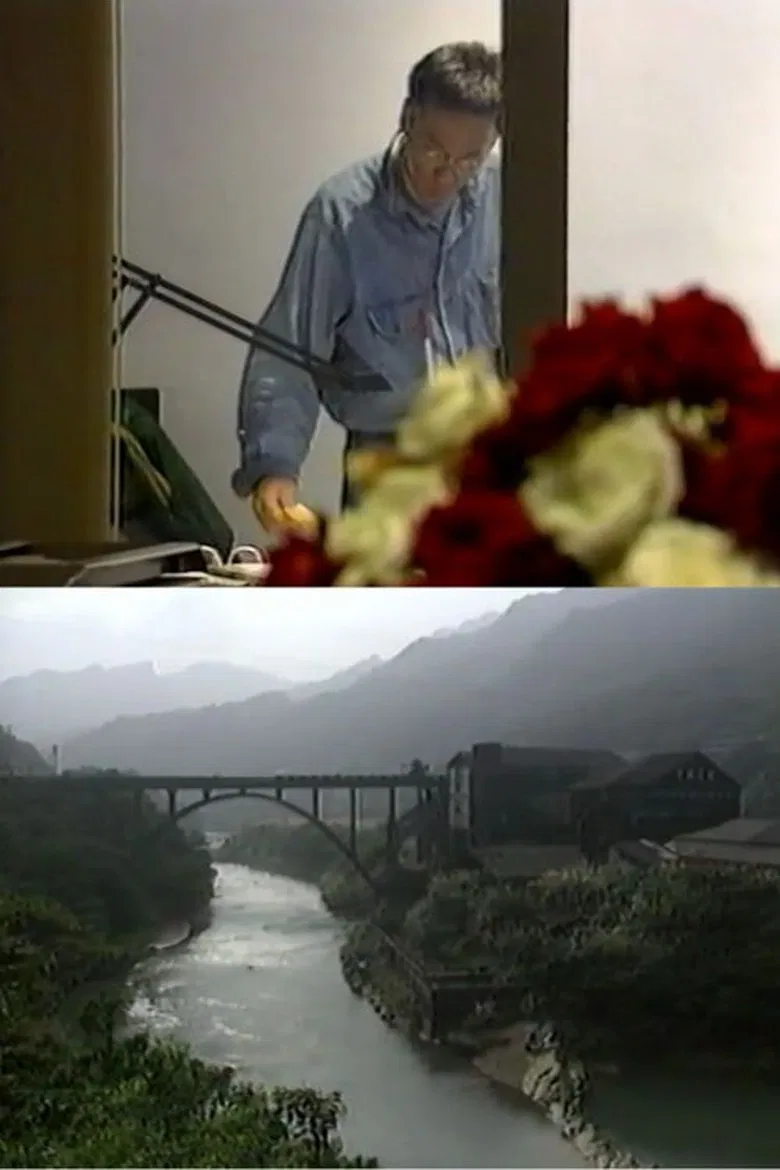 I Wish I Could Be Japanese poster background