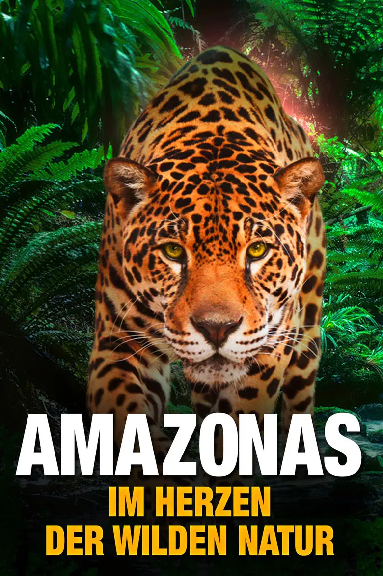 AMAZON 3D poster background