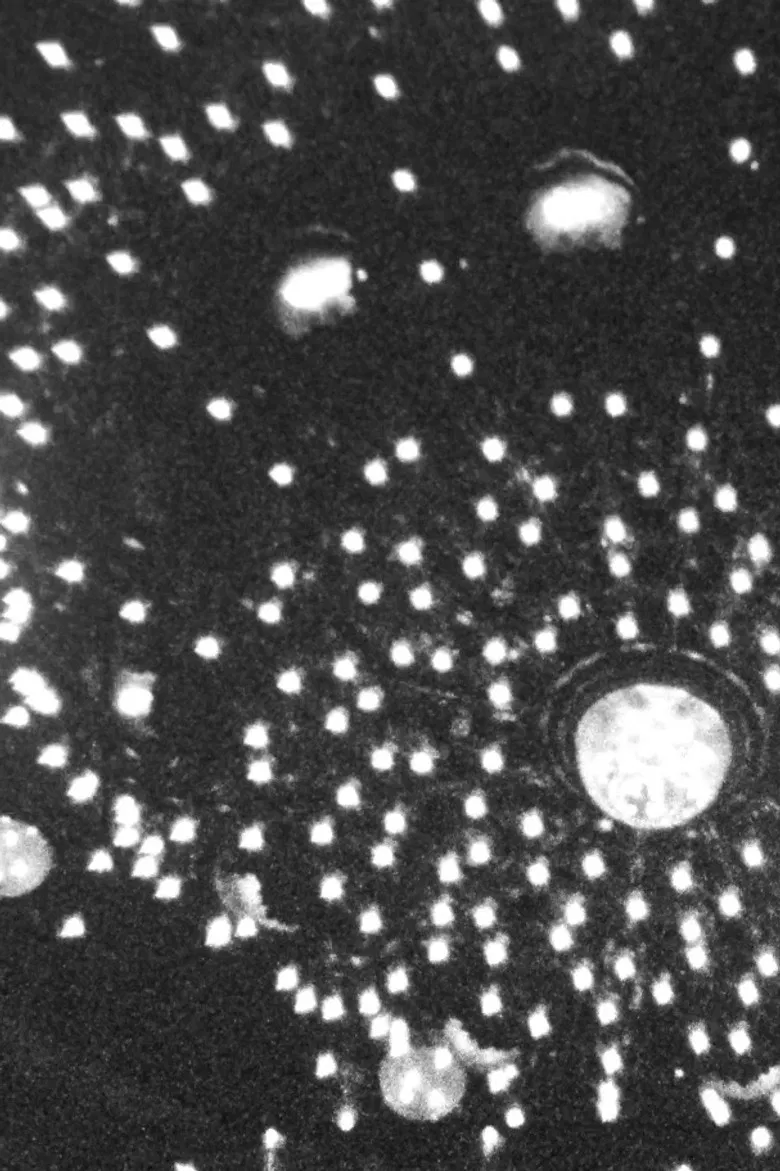 Cruz Del Sur poster background