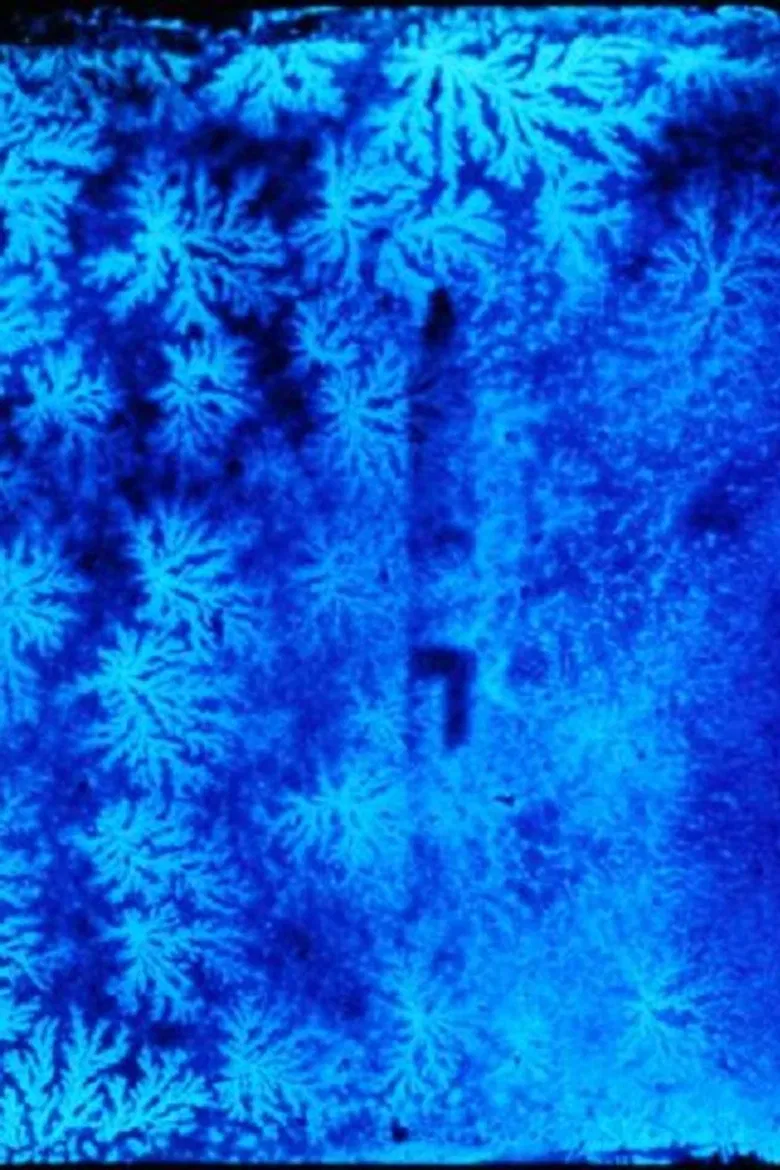 Fear of Blushing poster background