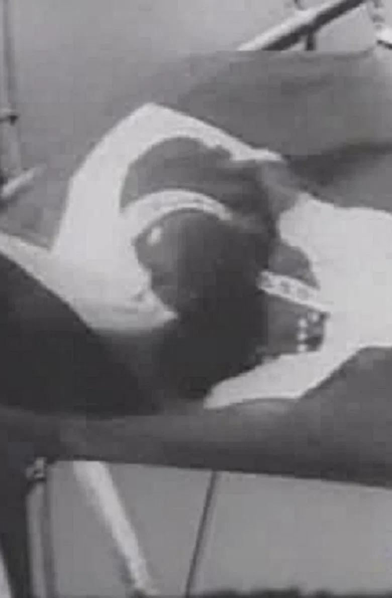 O Brasil precisa de você - Coletânea de filmes do IPÊS (1962-1963) poster background