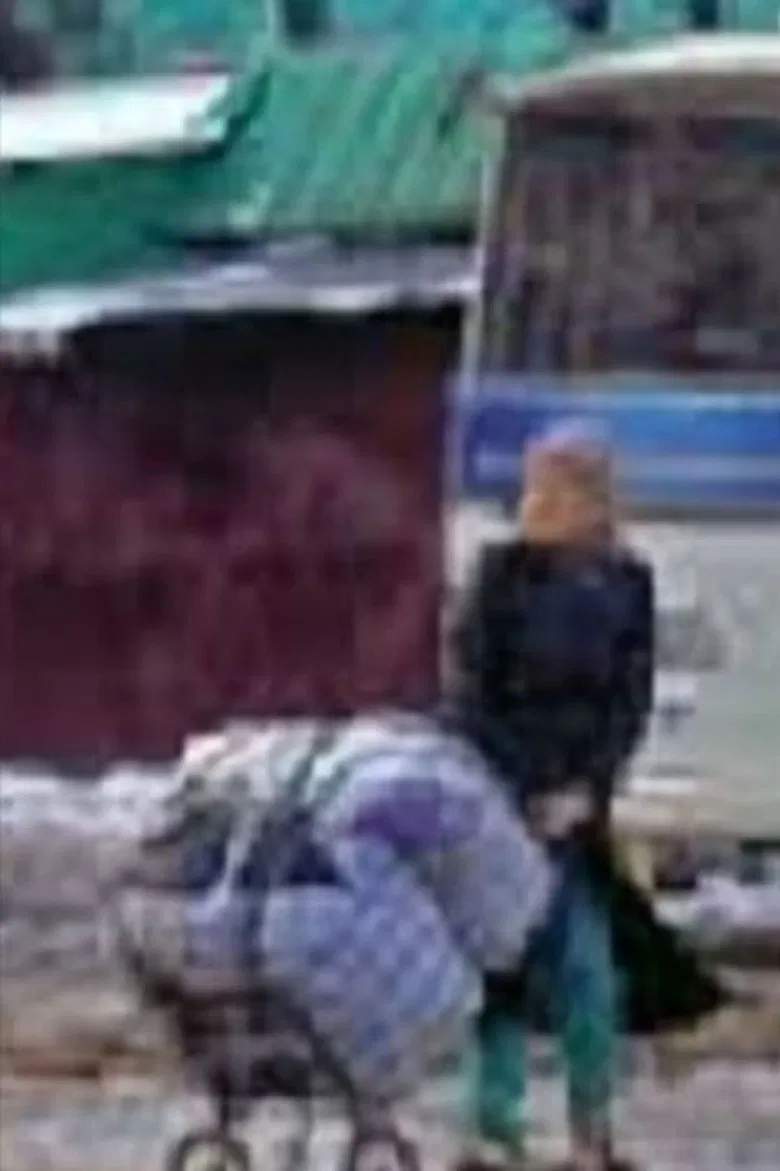 Apricots in the Baskets poster background