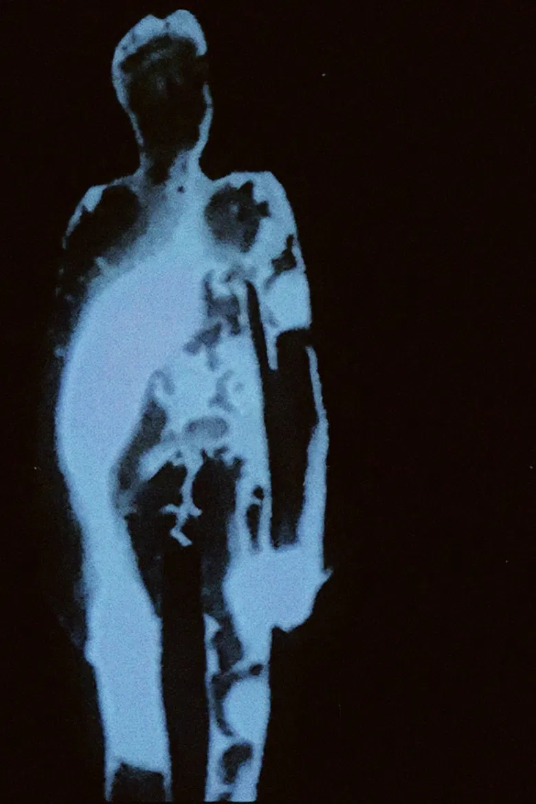 Il Vitello D'Oro poster background