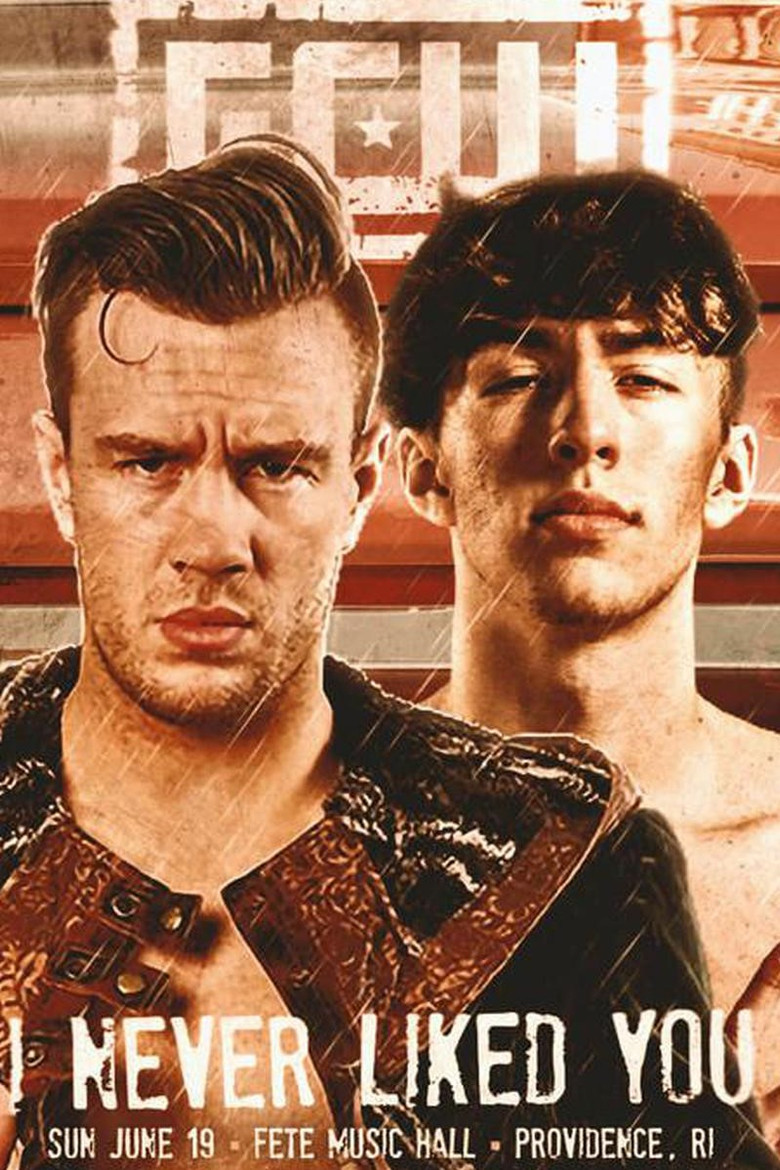 GCW I Never Liked You poster background