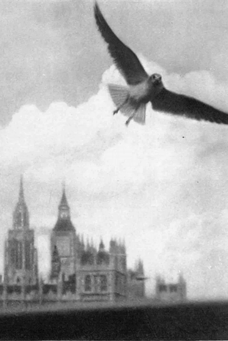 London Visitors poster background