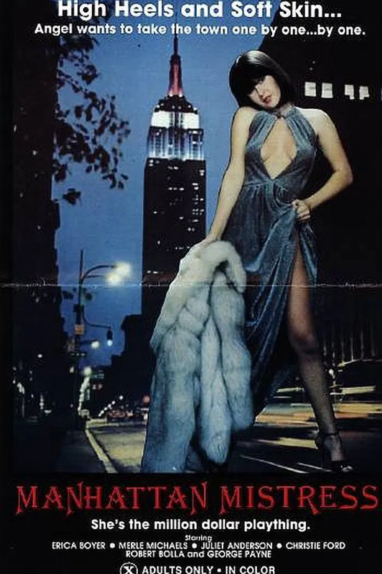 Manhattan Mistress poster background