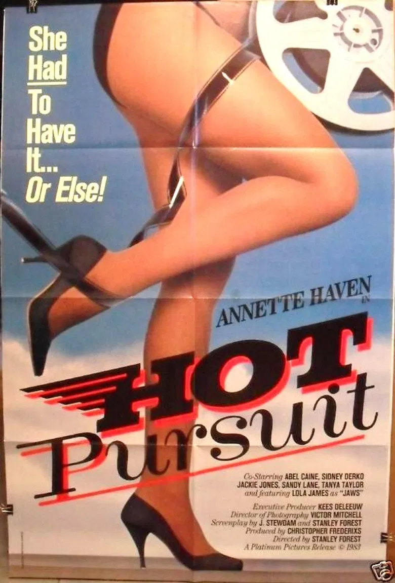 Hot Pursuit poster background