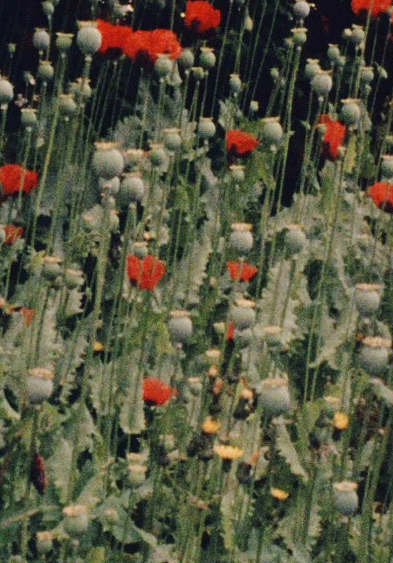 Place of Work poster background