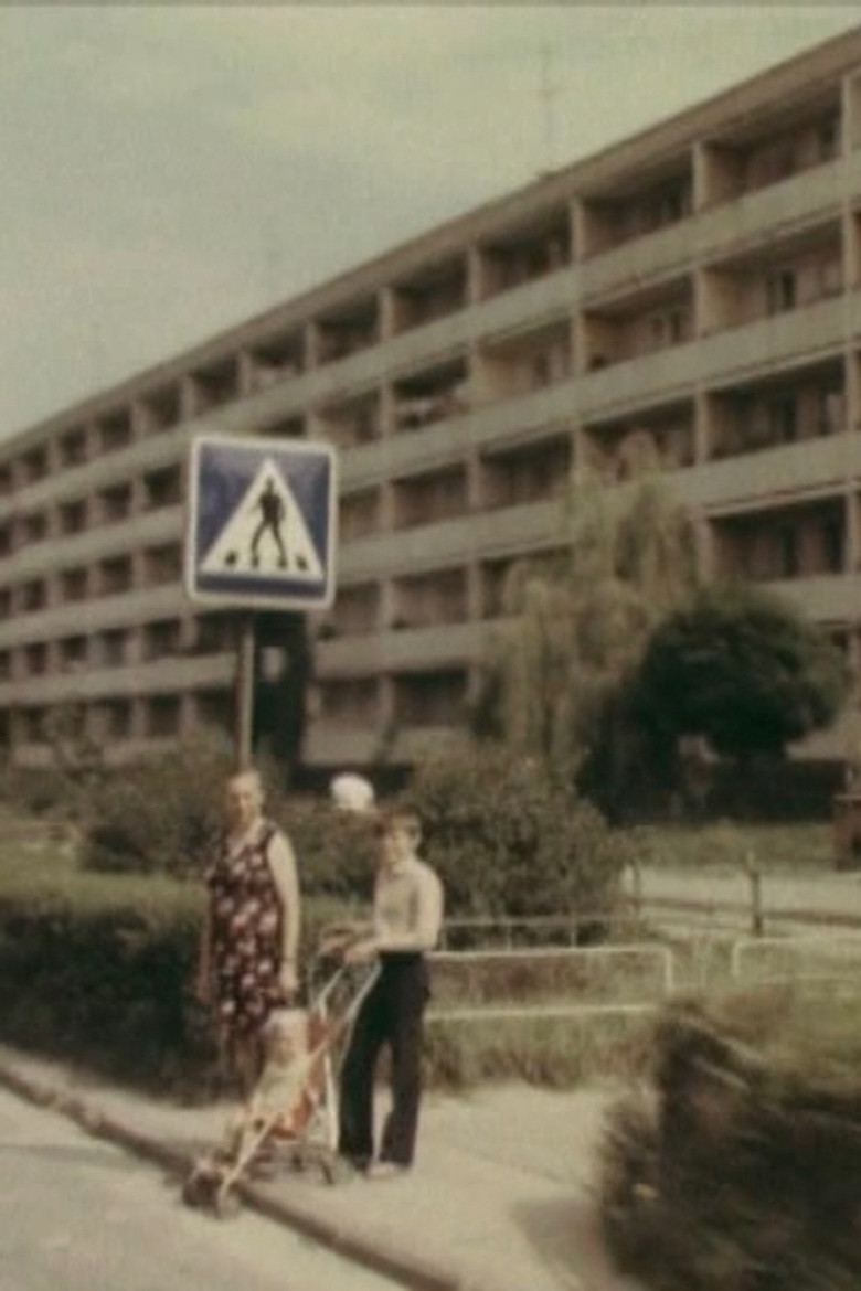 Belonging poster background