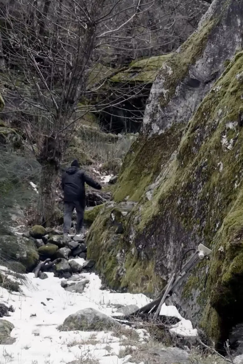 The Choice poster background