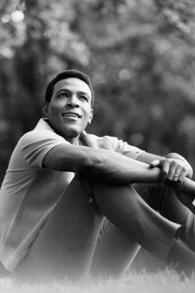 Marvin Gaye: What's Going On poster background