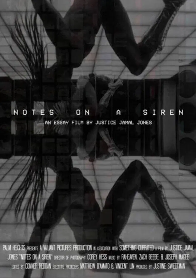 Notes On A Siren poster background