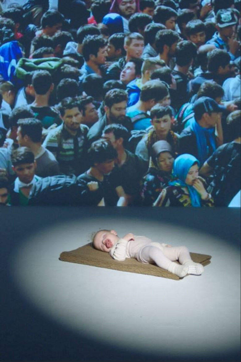 Kitten Or Refugee? poster background
