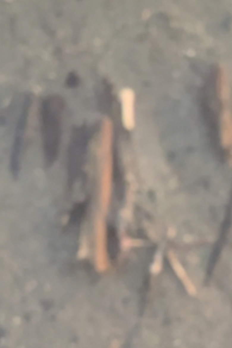 Pending poster background