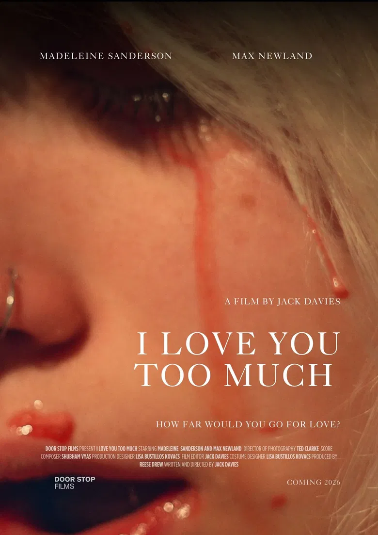 I Love You Too Much poster background