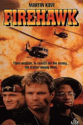 Firehawk poster background