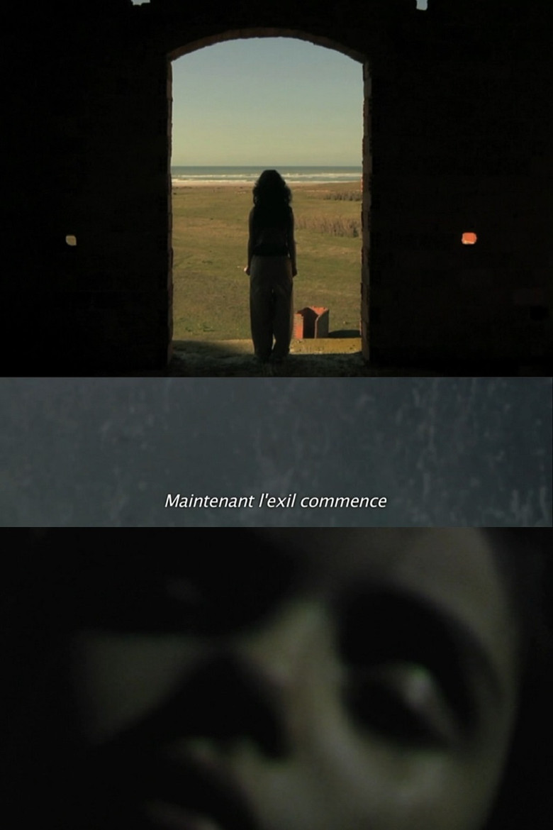 La fièvre poster background