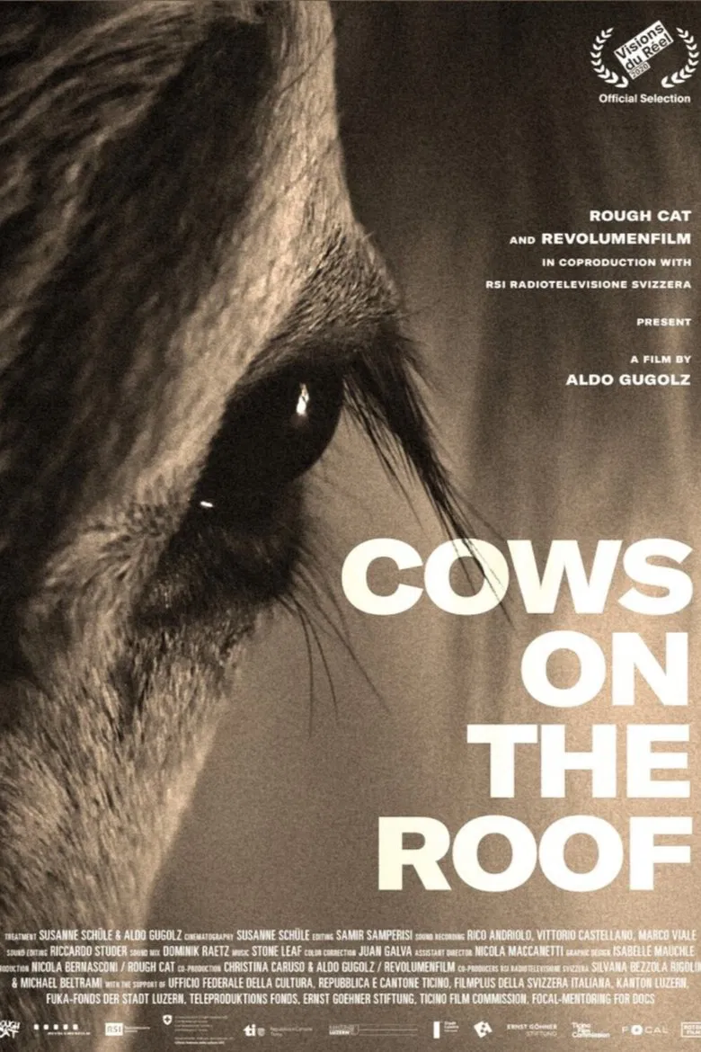 Cows on the Roof poster background