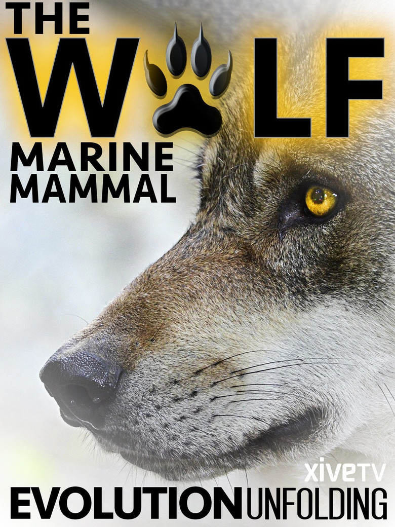 The Wolf: Marine Mammal poster background