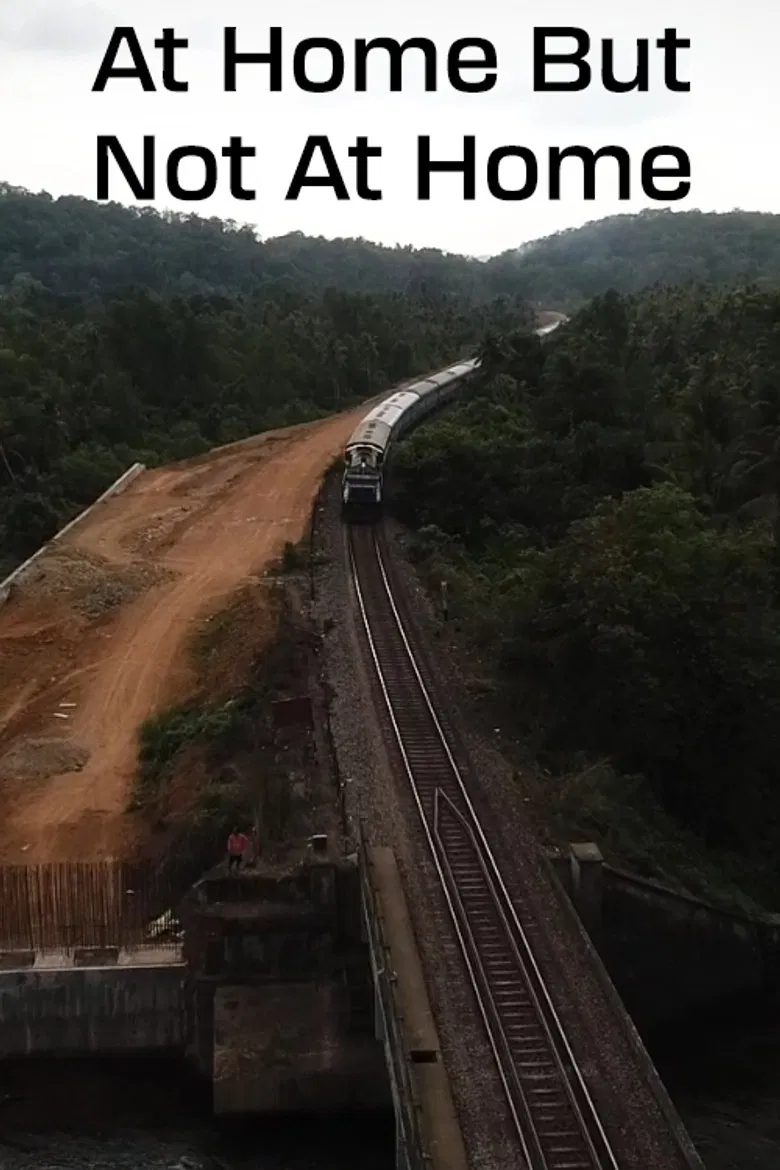 At Home But Not at Home poster background