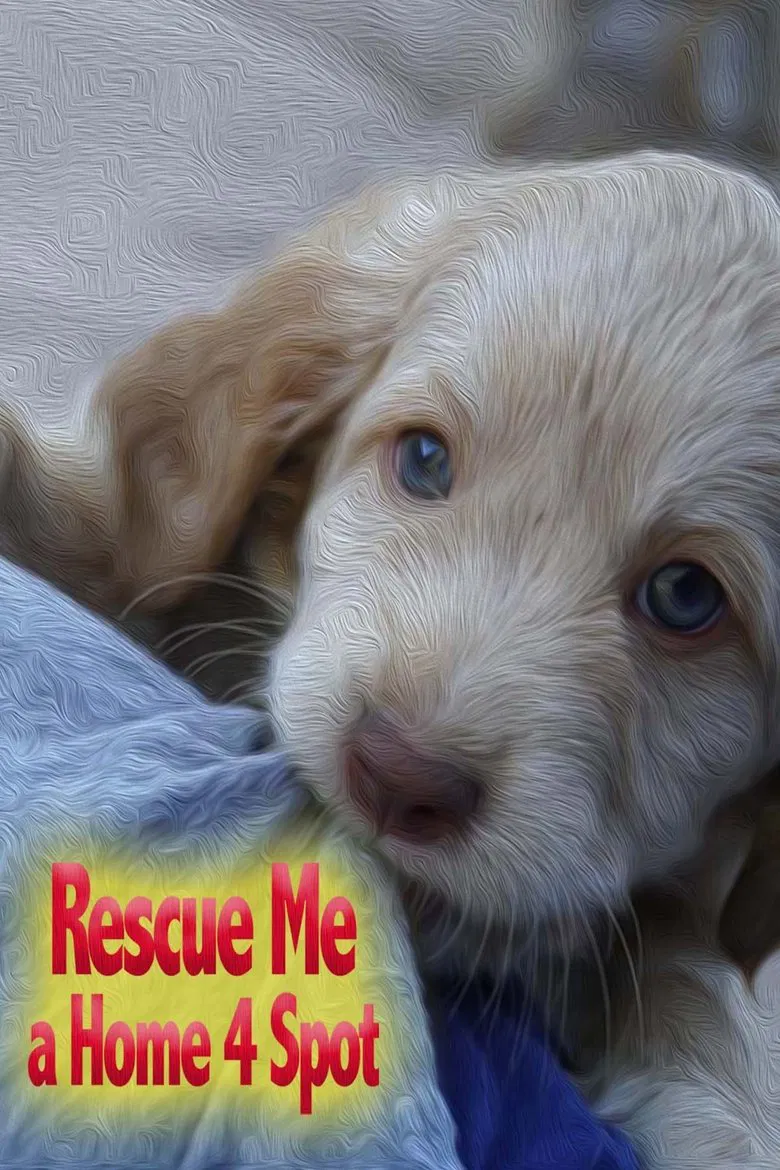 Rescue Me: A Home 4 Spot poster background