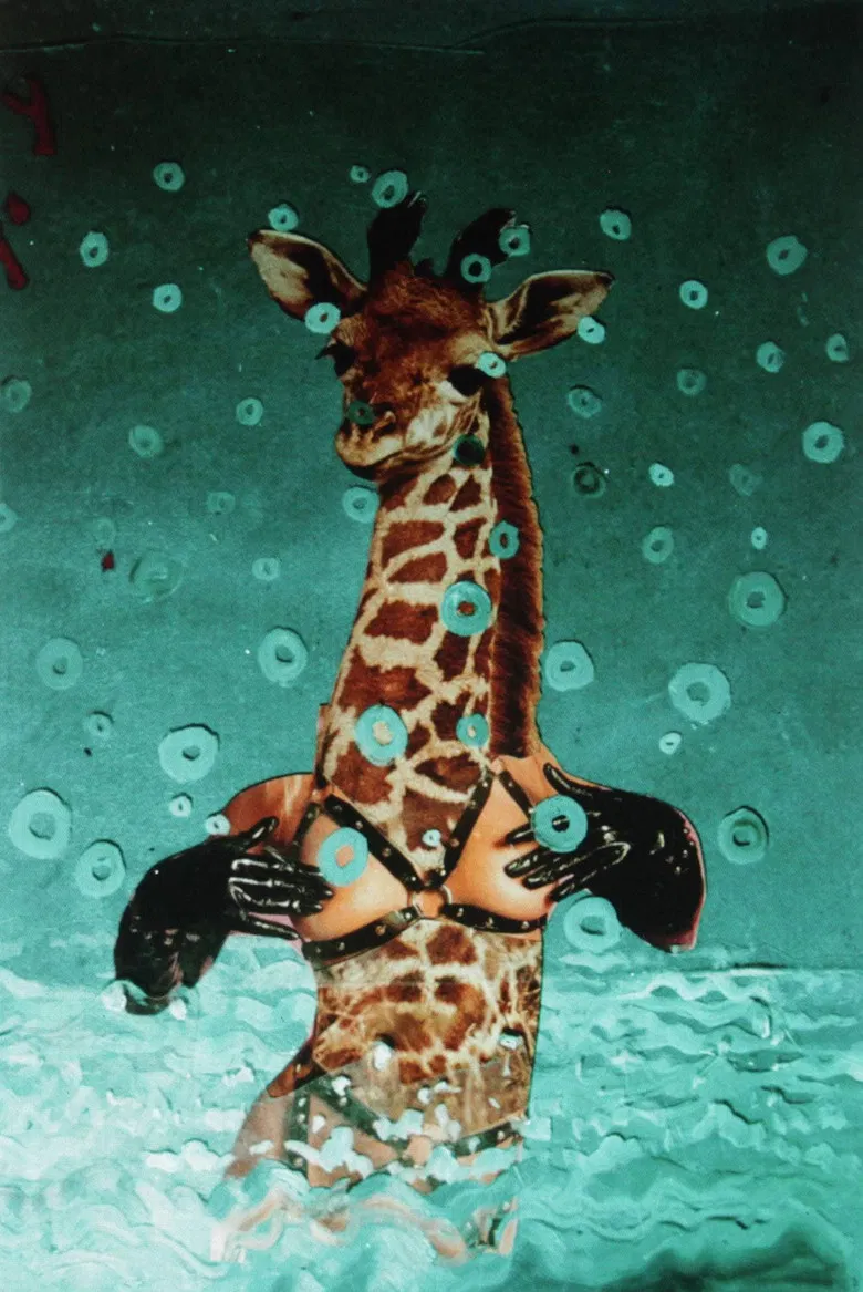 There's a Pervert in Our Pool! poster background