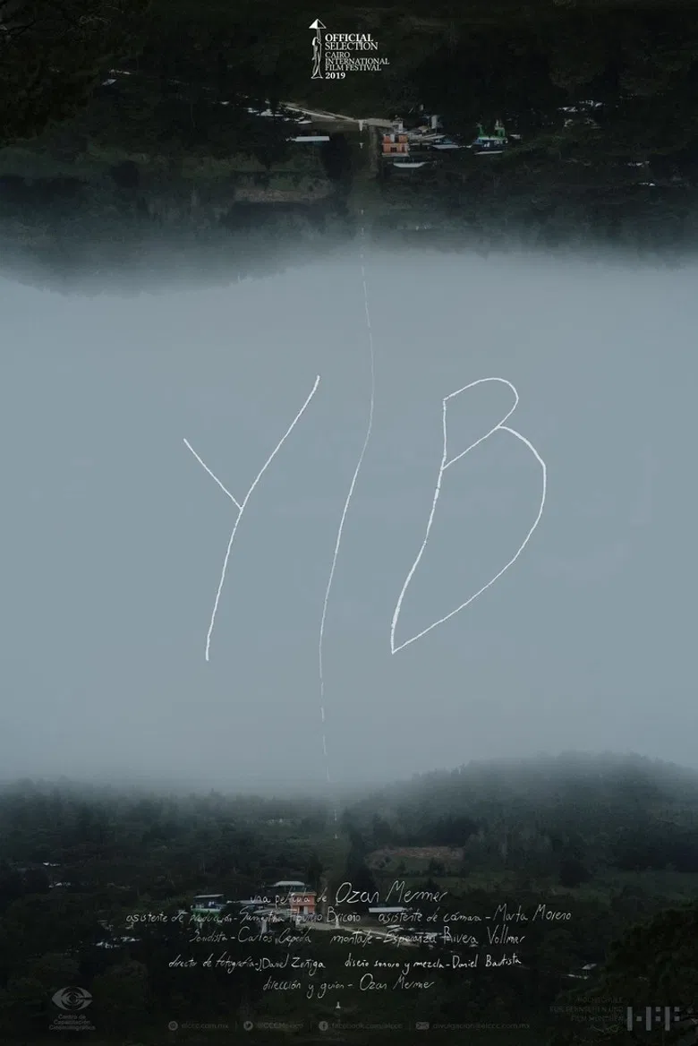 YIB poster background