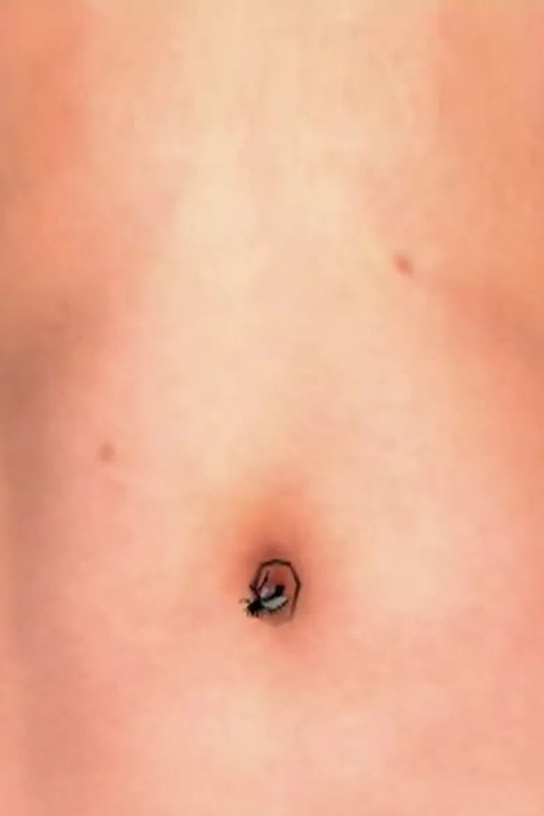 Moscas poster background