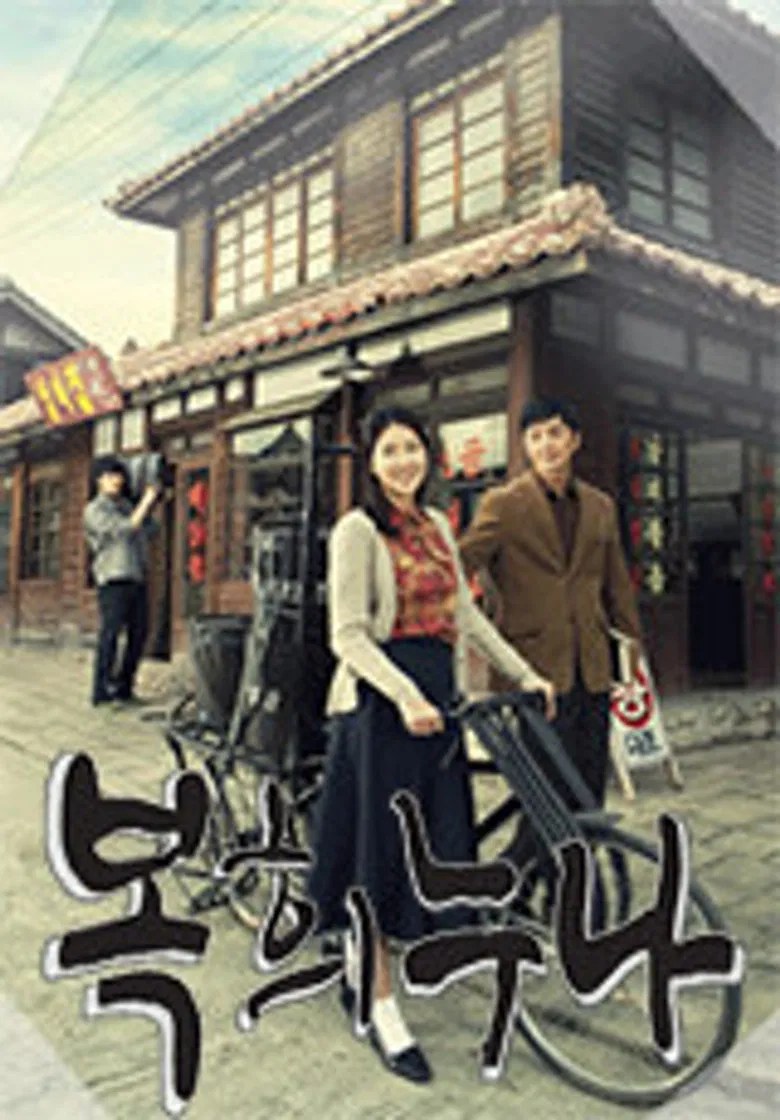TV Novel: Dear My Sister poster background