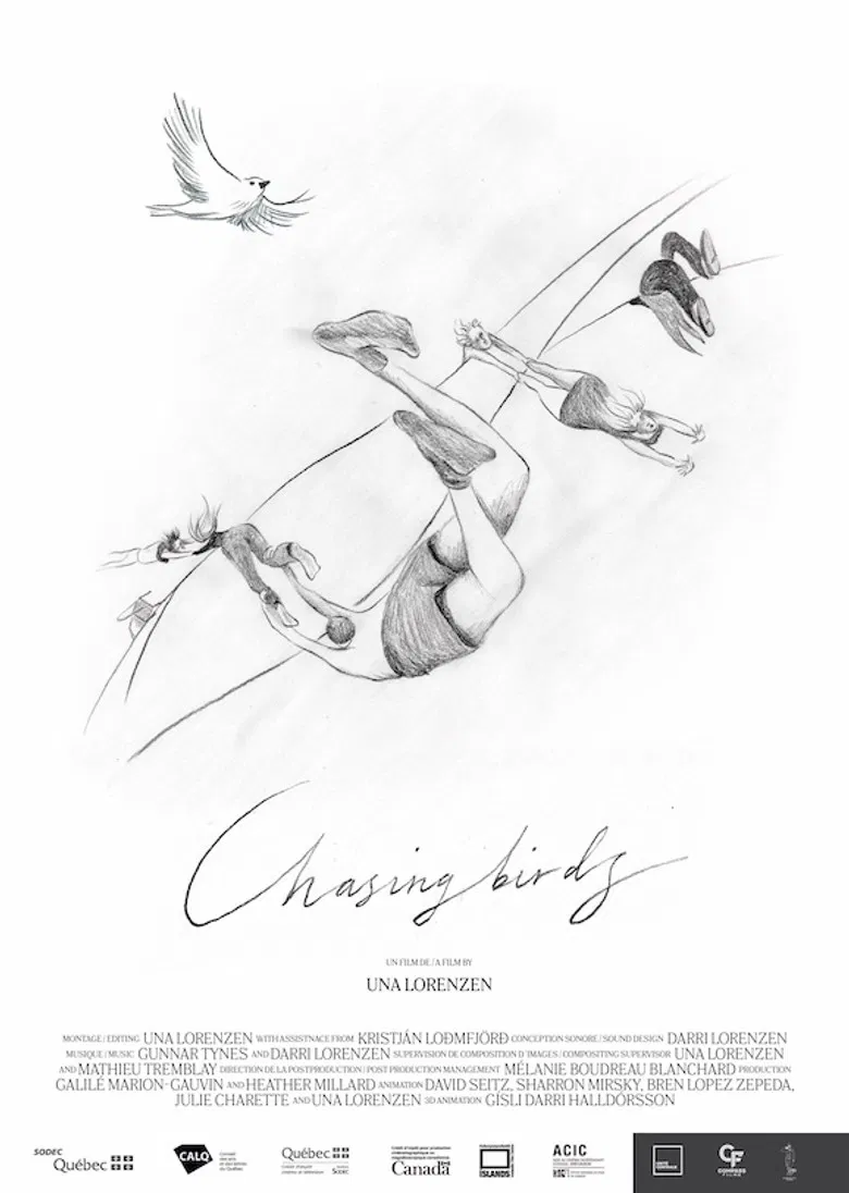 Chasing Birds poster background