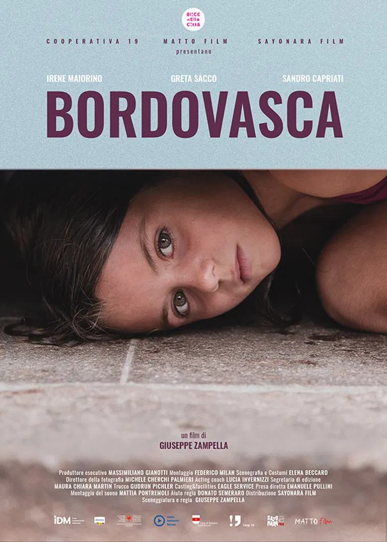 Bordovasca poster background