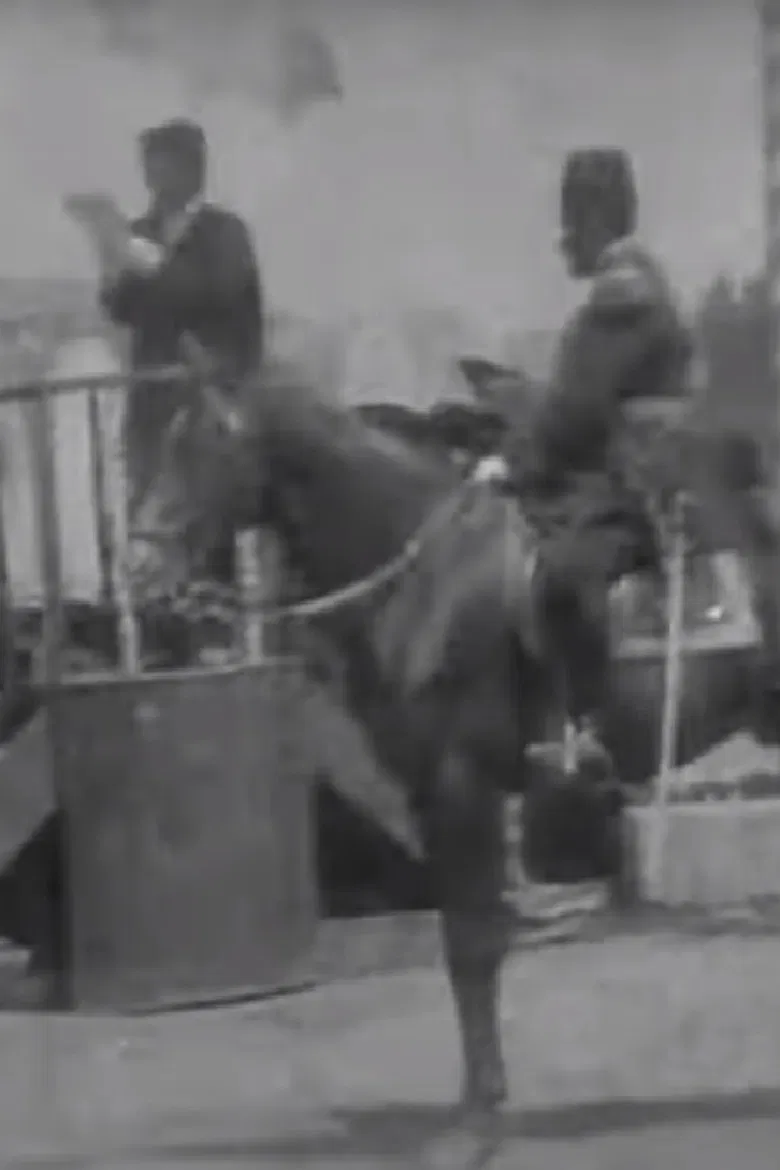 Turks' Hearing Speech on Hürriyet poster background