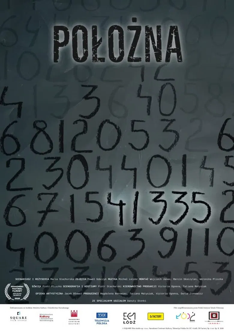 The Midwife poster background