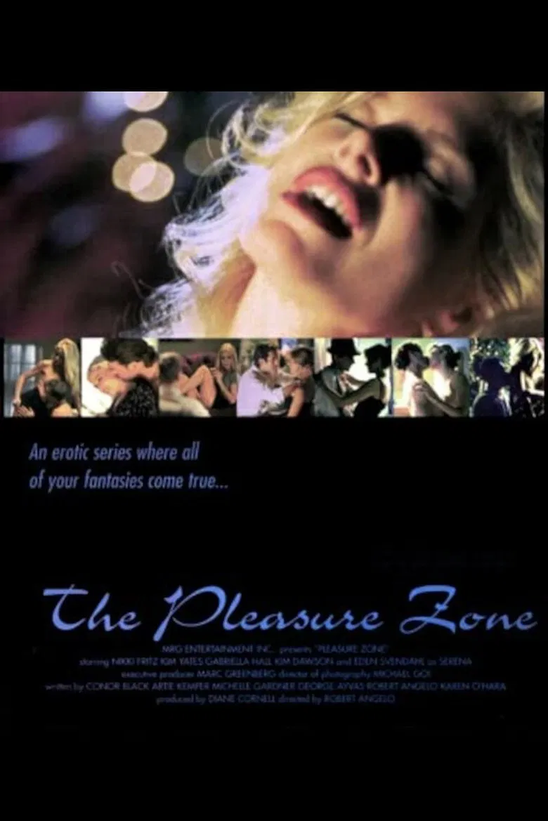 The Pleasure Zone poster background
