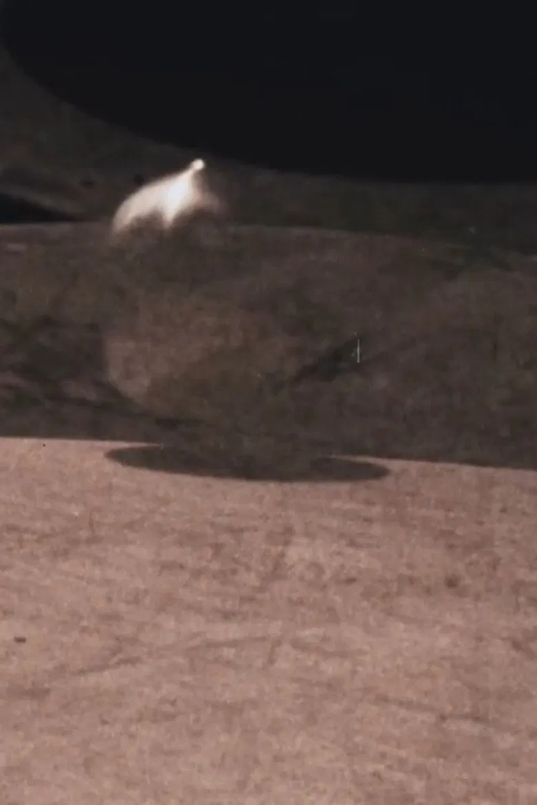 Pendulum poster background