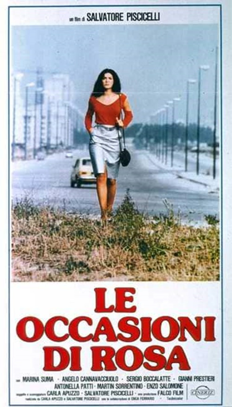 The Opportunities of Rosa poster background