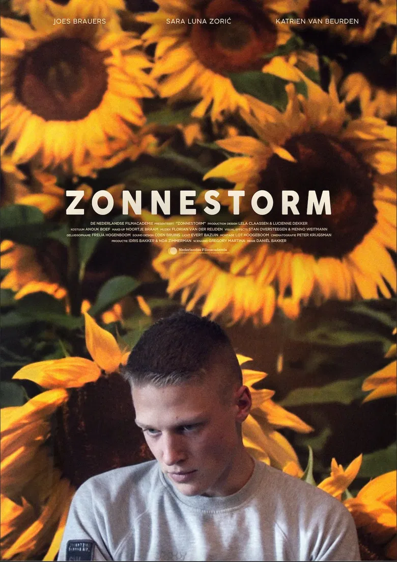 Zonnestorm poster background